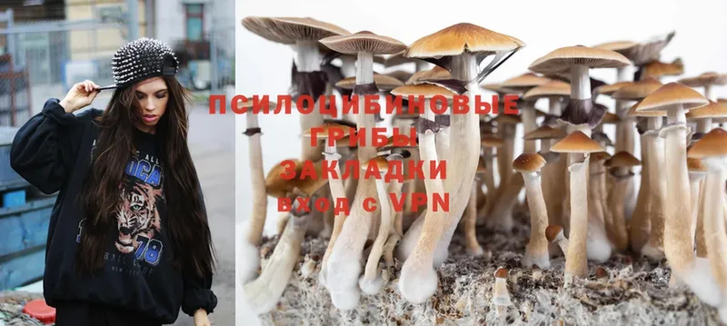 закладки  МЕГА ссылка  Галлюциногенные грибы Cubensis  Никольск 